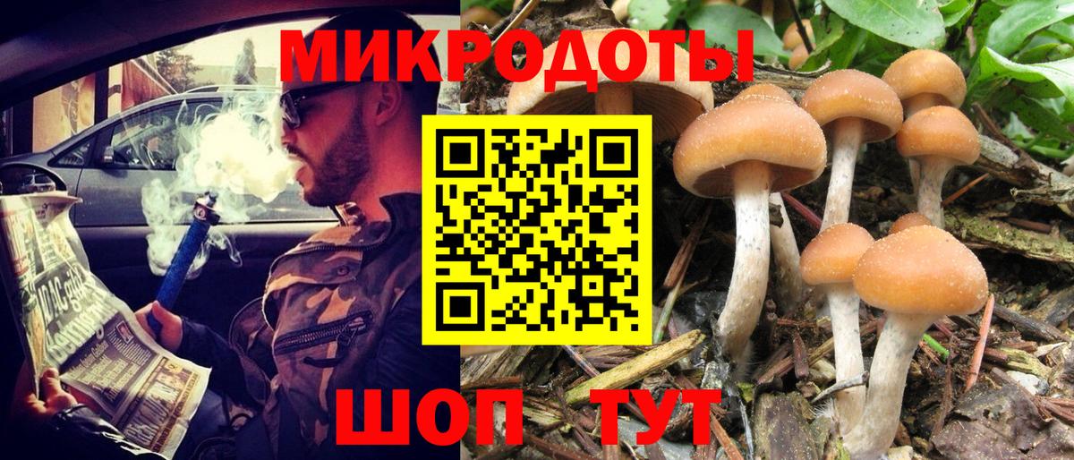 Новоалтайск  Псилоцибиновые грибы GOLDEN TEACHER  Вход с VPN 